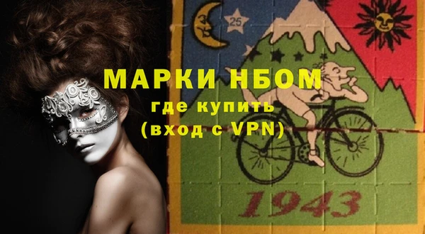 шишки Алзамай