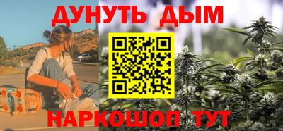 крисы Шелехов