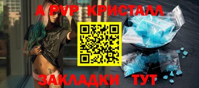 крисы Шелехов