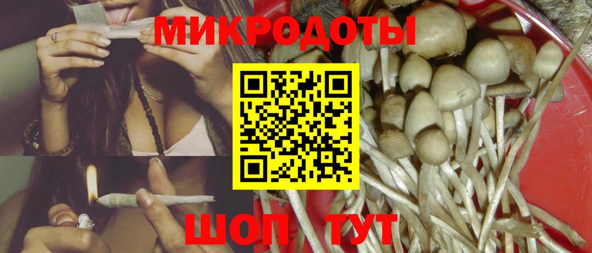 Галлюциногенные грибы Magic Shrooms  продажа наркотиков  Северодвинск  Псилоцибиновые грибы Psilocybine cubensis  Вход с VPN 